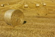 meules de paille meules de paille