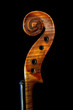 fiddle