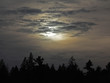 spooky evening