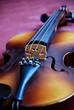 violin on brown background