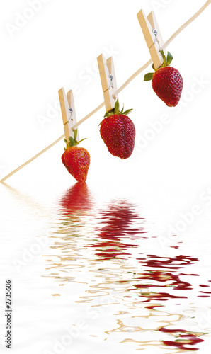 Foto: strawberrys reflection white strawberrys reflection white