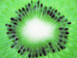 the kiwi.