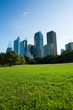 sydney skyline from the park sydney skyline from the park