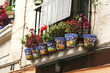 colourful window pots colourful window pots