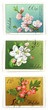 tree blossom collectible post stamps