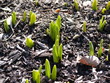 new life