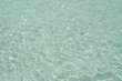 exquisite caribbean