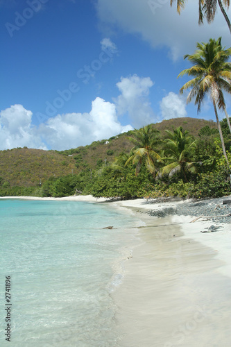 Photo: maho bay tranquility maho bay tranquility
