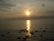 sun set