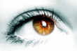 oeil brun oeil brun