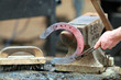 completing a horse shoe