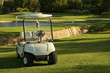 caddie car and green