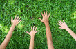 arm wrestle on the grass