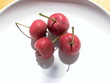 chinese hawthorn