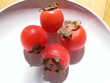 persimmon