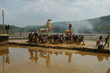 machad mamangam1