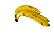 banane banane
