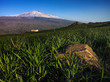 paesaggio etna 03 paesaggio etna 03