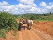 birman farmers driving a cart, kalaw, myanmar