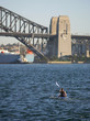 sea kayaks