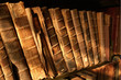 sunlight shining on old books