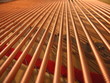Photo: 3d piano strings 3d piano strings
