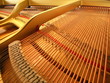Photo: orchestral piano view orchestral piano view