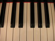 Photo: piano keys piano keys