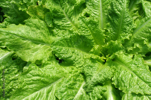 Photo: salad salad