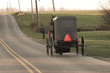 amish horse and buggy, sepia tone