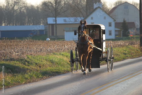 Photo: amish horse and buggy amish horse and buggy