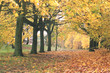 october october