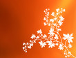 classical orange colour v2
