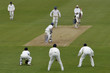 cricket action cricket action