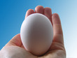 blue easter egg