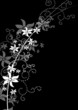 black floral x black floral x