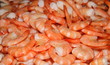 prawns