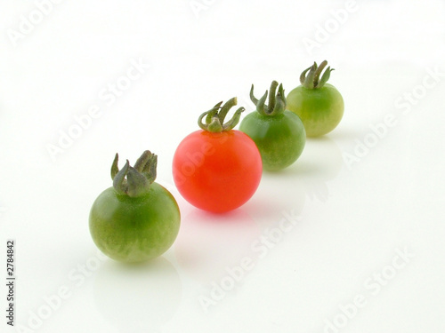 Photo: four tomatoes four tomatoes