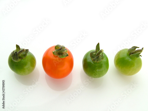 Photo: one red three green one red three green