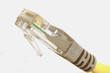 network plug
