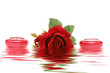 red rose and candles