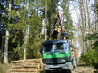 holzwirtschaft,