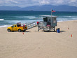 lifeguard