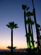 santa monica