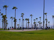 venice skate