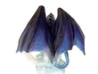dragon bleu glacier