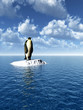 penguine_cs
