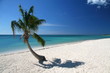 paradise beach