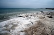 dead sea shore