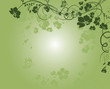floral background.
